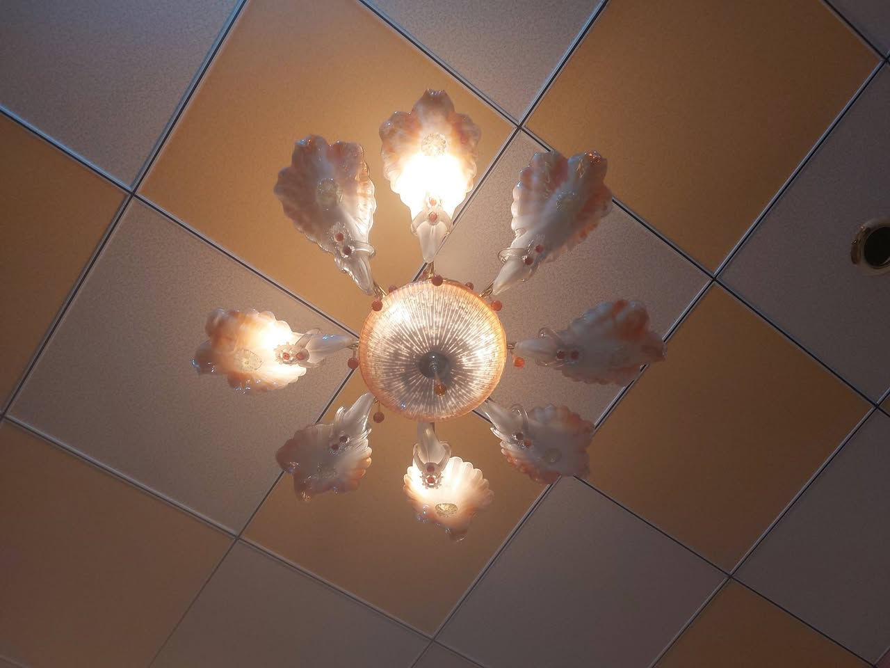 ثريات للبيع مع بردات السعر خاص


**إذا كنت صاحب هذا الإعلان وتريد حذفه لأي سبب، رجاءا أرسل رسالة إلى الدعم الفني**