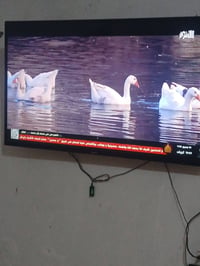 شاشه ٥٠ • نظيفه • بدون تصليح