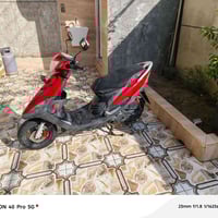 ماكس • بلادي • نضيف