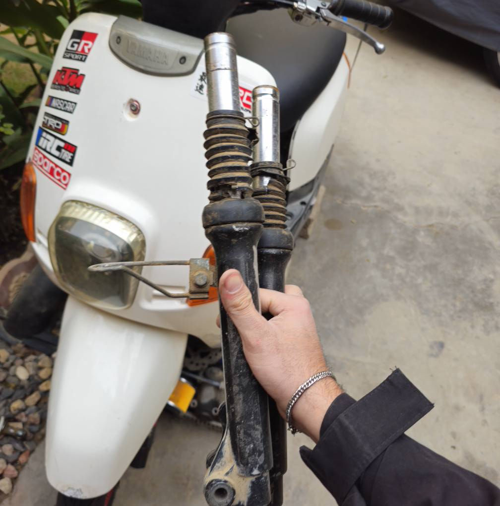 نواعم للبيع كلمن او سعره خاص متواجد


**إذا كنت صاحب هذا الإعلان وتريد حذفه لأي سبب، رجاءا أرسل رسالة إلى الدعم الفني**