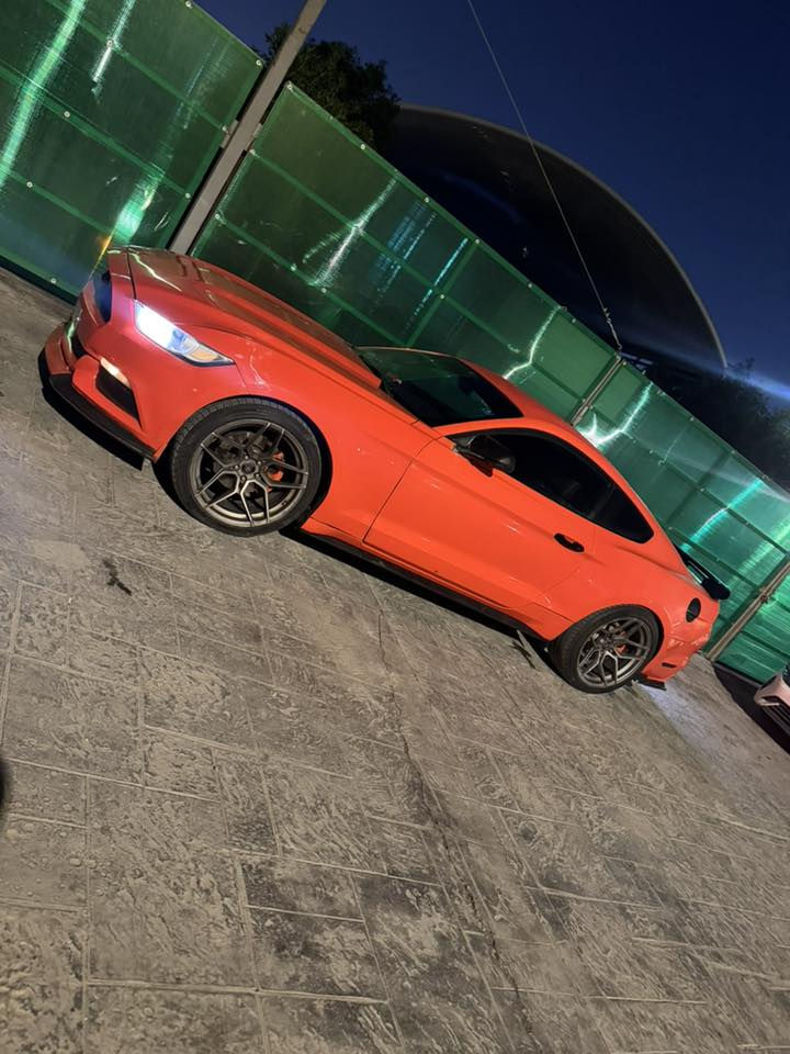 مراوس جالنجر 
موستنج 2016
مصبوغه حزام السياره 
تخم تايرات جديد 
صدر امامي خلفي جديد 
مودات تحكم ستيرن 
كير مكينه مكفول 
حادثه صندوك وارد امريكي


**إذا كنت صاحب هذا الإعلان وتريد حذفه لأي سبب، رجاءا أرسل رسالة إلى الدعم الفني**