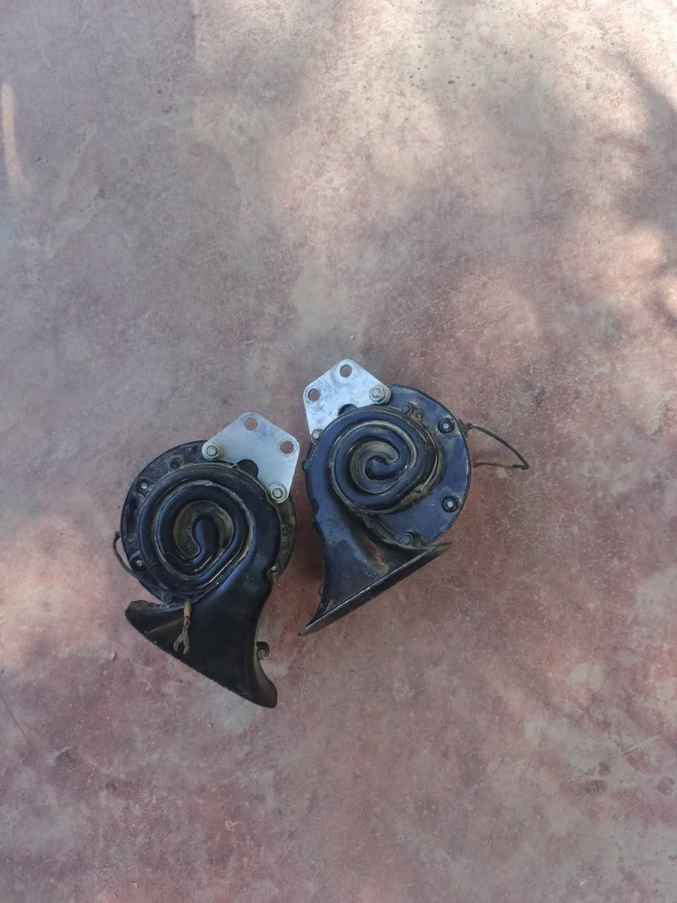 هورنات للبيع بغداد حي البتول سعرهن 15  ***********
