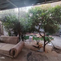 بيت للايجار • غرفتين نوم • قرب مدرسه الابطال