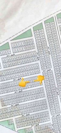 السلاميات • ٤٠٠م • ٦١٥٧+٦١٥٩