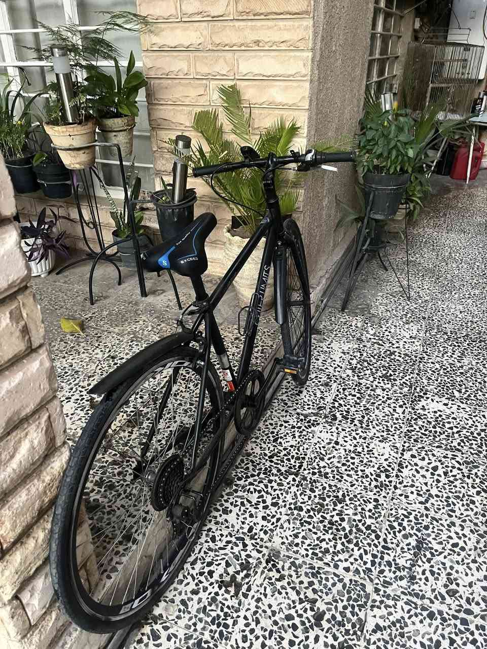 C700 للبيع 🔥
ماركة :outer limits ✅
كير ست نمر خلفية ✅
كشن رياضي جديد ✅
واقيات مطر ✅
حاملة مطارة✅
بريكات امامي وخلفي شغالة ومرتبة على حسب الاصول ✅
لايت وجرس عالشحن جدد✅
البايسكل كامل مكمل ومتعوب عليه 
السعر : 125,000 دينار 
بغداد الغدير 
للتواصل خاص


**إذا كنت صاحب هذا الإعلان وتريد حذفه لأي سبب، رجاءا أرسل رسالة إلى الدعم الفني**