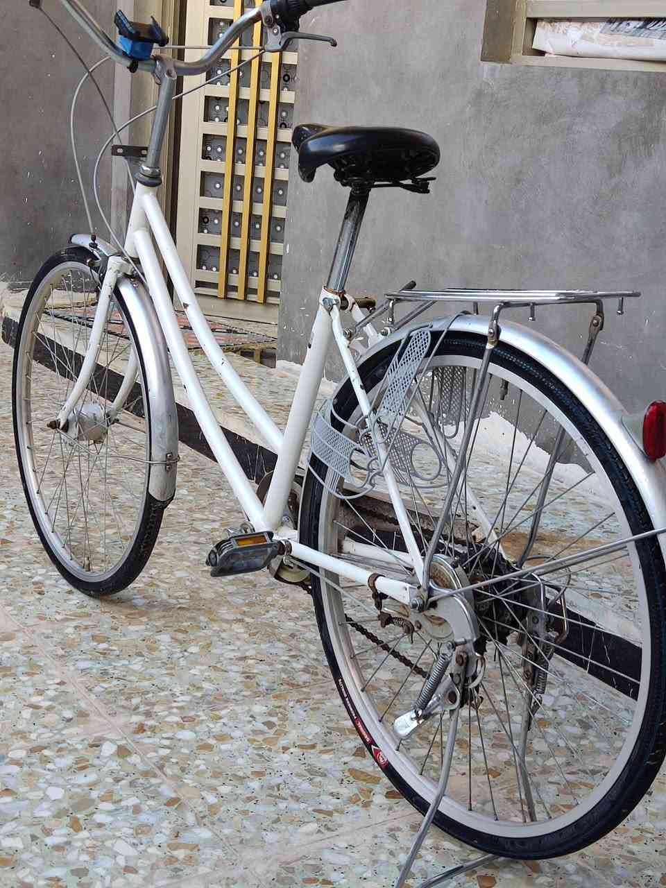 سلام عليكم باسكل للبيع حجم 26 حساس ويل كدام 6 كير الباسكل نضيف السعر قيم واخض المكان نجف حولي الستفسار ***********
