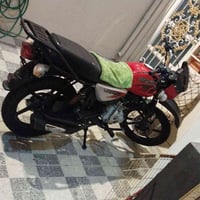 بوكسر سكنر • ٢٠٢٣ • جبلي