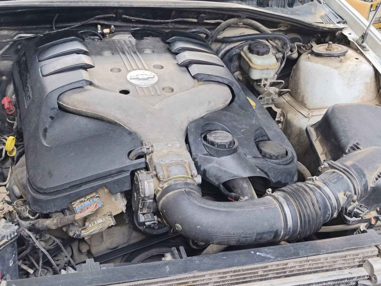 السلام عليكم
لومينا 2006 رقم بغداد انكليزي تبريد ثلج باسمي محرك ناعم هزه جديده سعرها 45$ المكان بغداد شهداء السيدية قرب تقاطع درويش
موبايل. ***********
