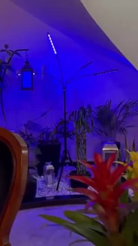 انارة نباتات • ريموت كونترول • بابل محاويل