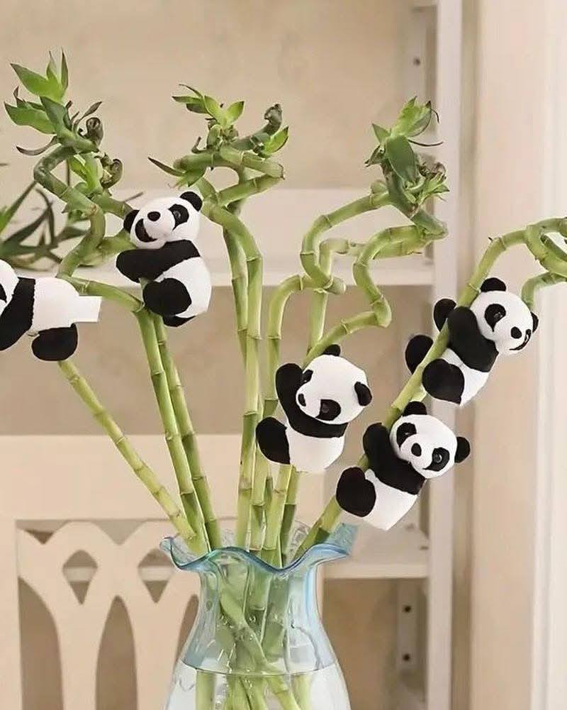 🎉عرض بمناسبة العيد🎊🎊
🐼الباندا ٥ قطع ١٠ الف🐼🦊
🐼🦊راكون ٤ قطع ١٠ الف🐼🦊
جيس دعسوقة الف 🐞
توصيل كل محافظات العراق 🚕 
لحجز على خاص ☎️ 
☎️***********☎️
