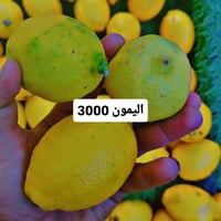 توصيل • خضار وفواكه • لحوم ودواجن
