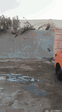 سلام عليكم سوناتا وارد كوري مكينة 2400 دوش كير ومحرك كفالة سيارة حلوة رقم بابل مالكهة يمي سنويا لل30 دواخل جلد تبريد خلفي قطعتين ثلاجة تحكم سترين كشنات كهربائية تخم تاير جديد سياره مال جناي جديدة بيها جاملغ خلفي بدون دواخل زنون ويل عادي وتايرات توني شادهن منضومة تبريد كاملة اشاير بلمري دشبول جديد شعندك مراوس نزل رقم الهاتف ***********
