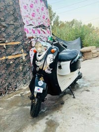 عبد الحليم • نضيفة • مصطفى خان