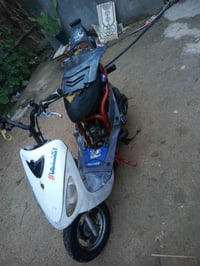 ماكس منغولي • نضيفه • سوك الشيوخ