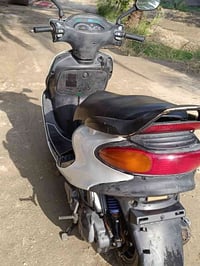 دولفين • نضيفه • بابل السياحي