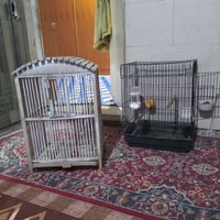 اثنينهم • ١٠ قفل • بغداد الشعله