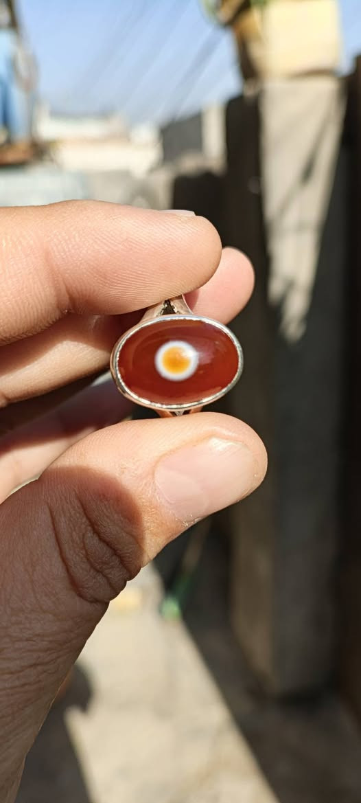 سليماني هندي اصلي البيع
تصال على الرقم ‏‪***********‬‏
