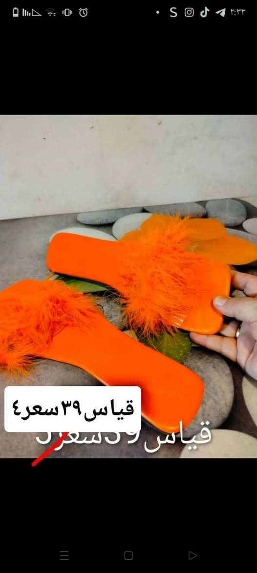 عروض تصفية قطع اخيرة لحكوا سعر جملة جدد شي إن واما زون والي تطلب أكثر من قطعتين جنطة هدية بعد شتريدون😊


**إذا كنت صاحب هذا الإعلان وتريد حذفه لأي سبب، رجاءا أرسل رسالة إلى الدعم الفني**