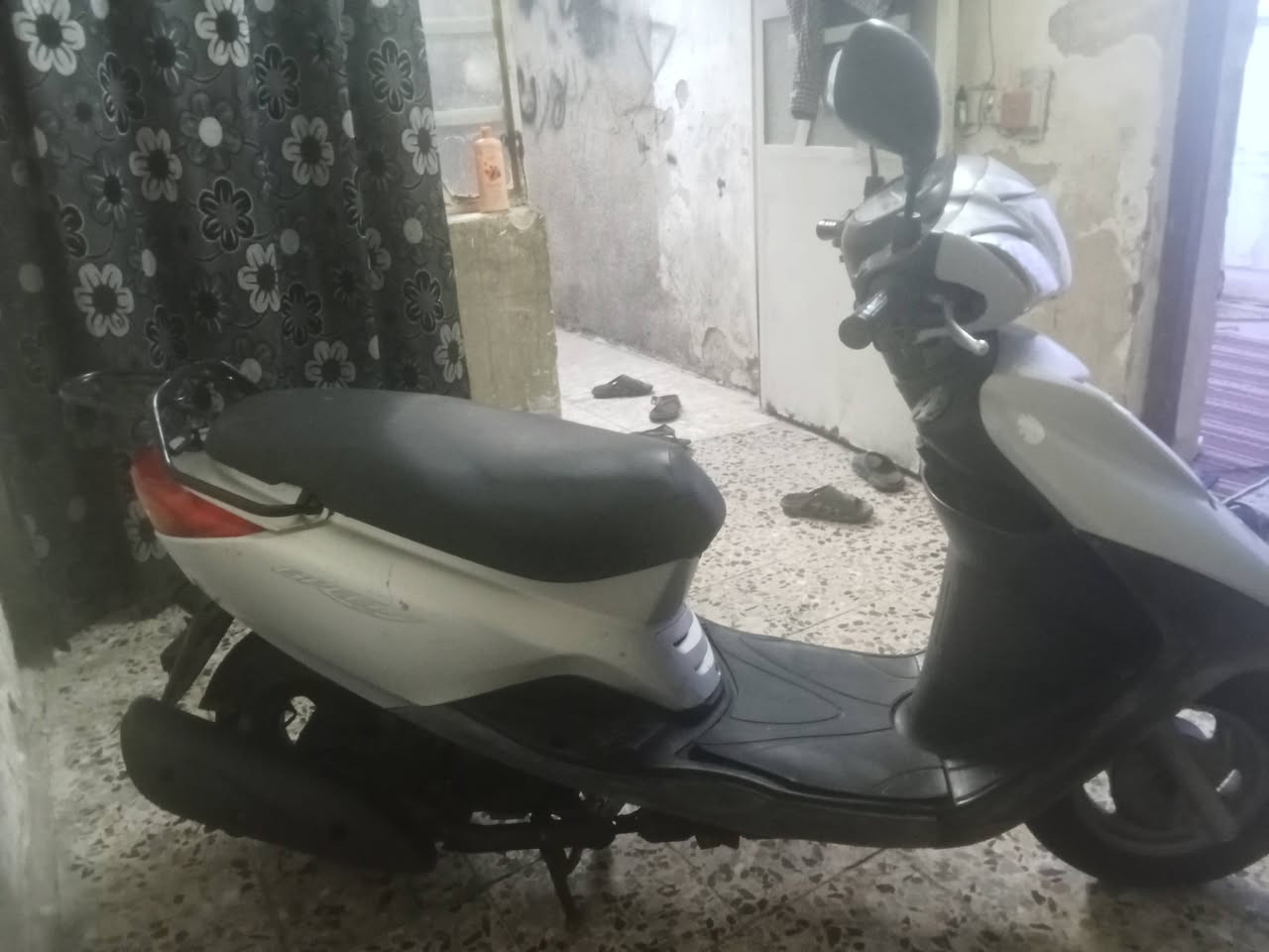 السلام عليكم دراجه فريز ببغاء جاهزه للبيع بغداد المدينه سعرها 750 رقم الهاتف ***********
