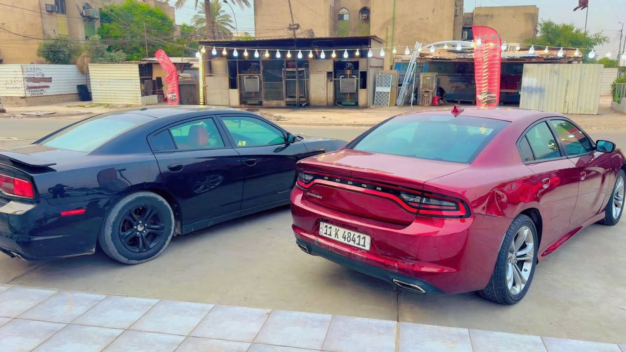 ⸻
🚗👑 شركة الملك لتجارة وتأجير وتقسيط السيارات 👑🚗

سيارتك بانتظارك! 🔥
تريد إيجار؟ تقسيط؟ بيع مباشر؟
كلشي متوفر وبأفضل الأسعار 💯
مهند الجبوري
✅ إيجار يومي / شهري
✅ تقسيط مريح وبأقل دفعة
✅ سيارات نظيفة ومضمونة
✅ معاملات سريعة ومصداقية تامة
✅ تعليم قيادة بإشراف كادر نسائي محترف 👩‍🏫🚘

📍 الموقع: بغداد – مقابل مدخل الخيزران  جهة الإعلام
📩 راسلنا بالخاص أو اتصل على الأرقام:
📞 ***********
📞 ***********

🚘 شركة الملك – ثقة وجودة بكل صفقة
