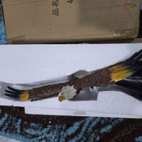 ارتفاع ٤٨سم