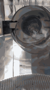 سلام عليكم دراجه للبيع اربعه كير موديل 24اوراق سكنر معدل وسرعه فول المكان طريق كربلاء نجف عمود 1141 الاستفسار عن هذا الرقم ***********
