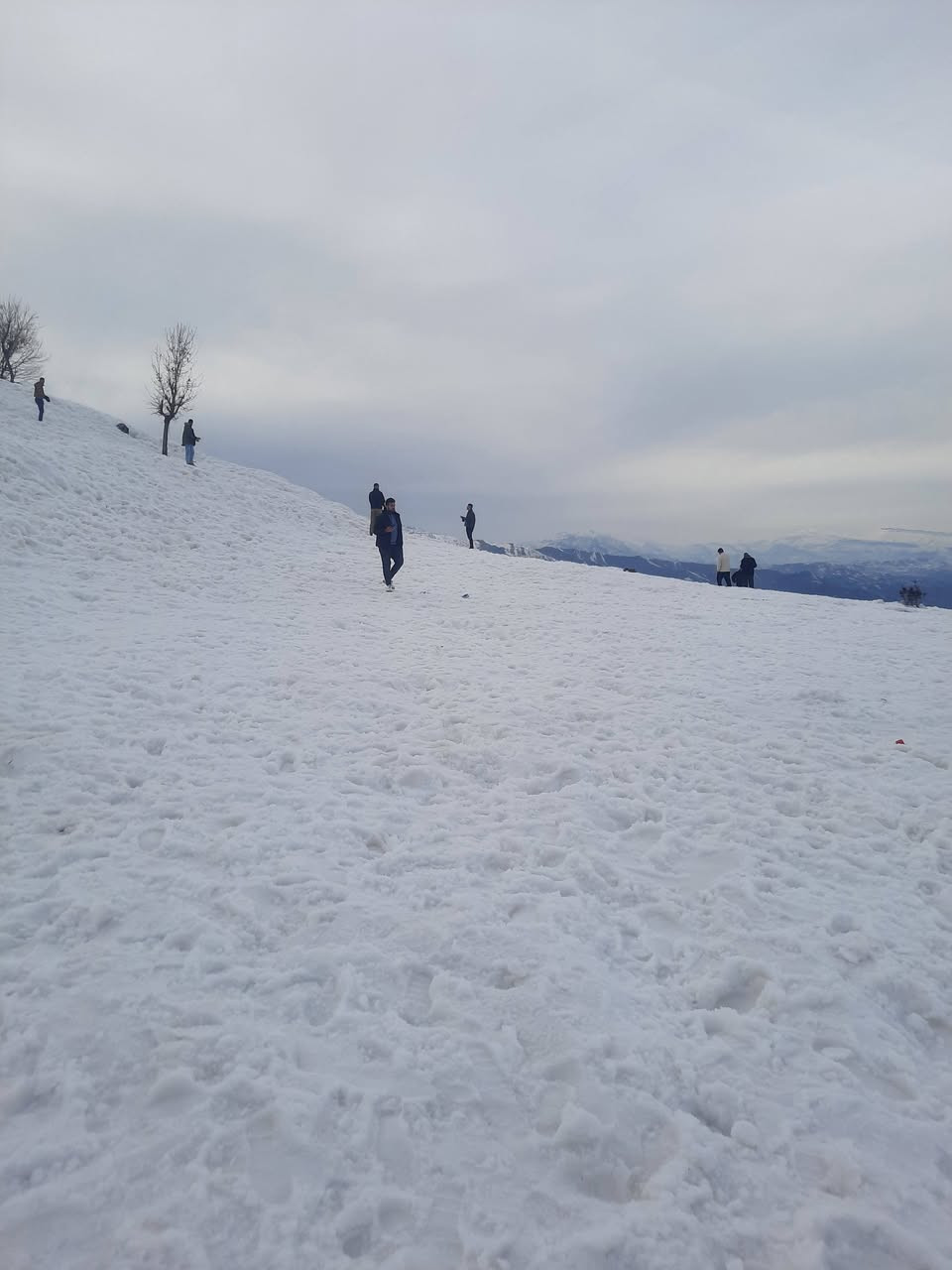 🙋‍♂️_برنامج رحلة إلى #اربيل _غير جوك جبل كورك ثلجي
__________
💧💧#برنامج_يوم واحد🟣  يوم الجمعة  ↙️تاريخ13\2\2026
🔻برنامج يشمل
☄️☃️☃️جبل كورك ⛄️🌩️
🟩#مصايف اربيل /مصيف بيخال 🎗 
🔺مطعم🍗🌭🍽️
✅️مدينة العاب شنكل بانه
🔺مول🏩🛝
——————
بسعر (18)الف

⭕️⭕️للحجــــــــز والاستفسار مراجعة الشركة قرب متوسطه الرشيد 
☎️***********
☎️***********
☎️***********
