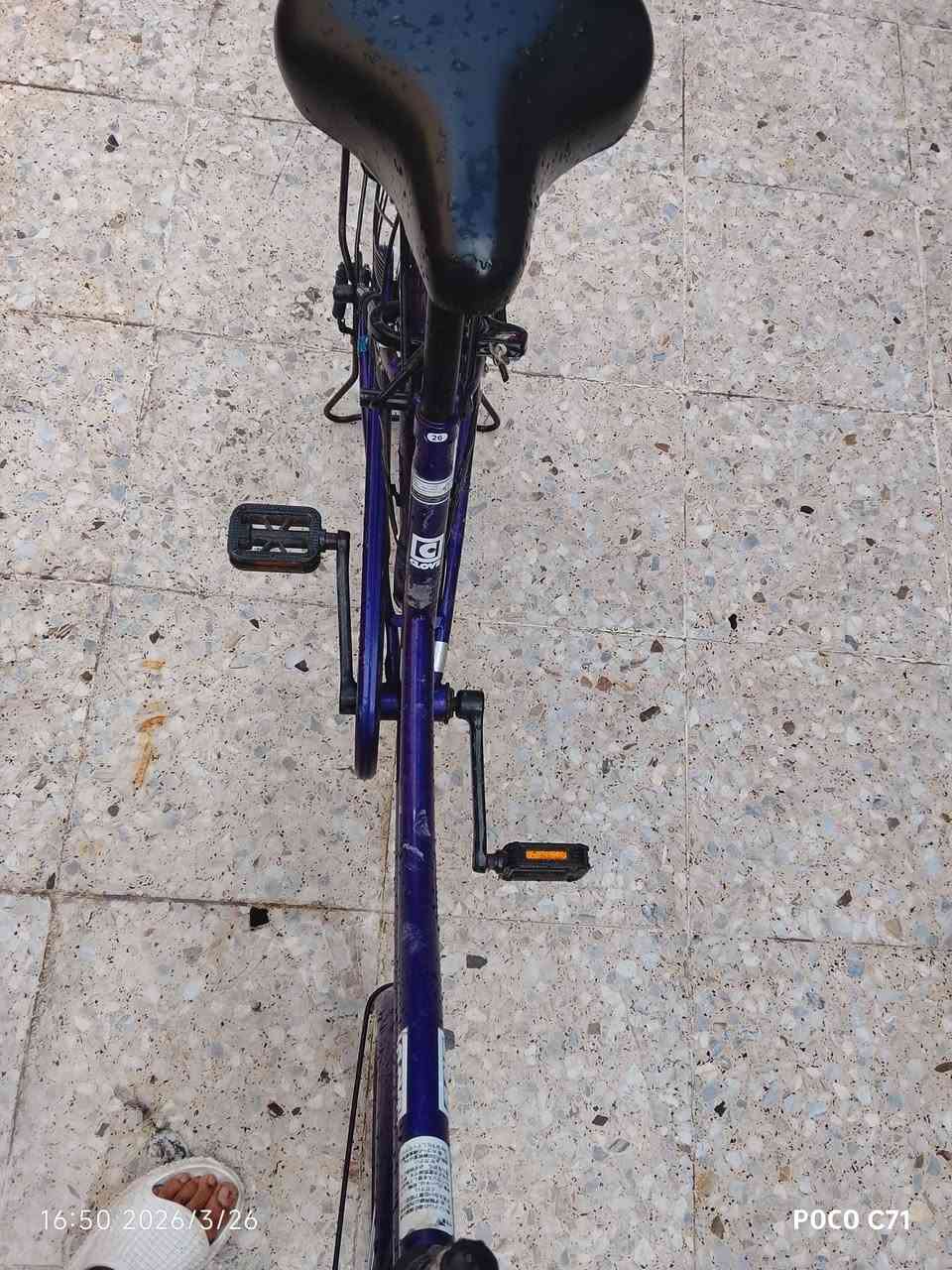 بايسكل بناتي للبيع شركه كلوف 
مديل2022
بيسكل صارلي سبوع خذيته ورد ابيعه حتاجيت بيسكل رمبه نزلته ب140قفله ب110 عنوان بغداد شارع فلصطين


**إذا كنت صاحب هذا الإعلان وتريد حذفه لأي سبب، رجاءا أرسل رسالة إلى الدعم الفني**