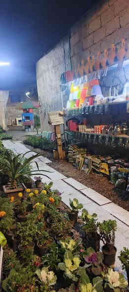 تم وصول وجبه من النبتات مـشـتـل دومـيـز ♦🔥انتضرو العروض🤍🔥🔹
شكراً لاختياركم #مشتل_دوميز
جـمـال حـديـقـتـك🖤 يـبـداء مـن مـشـتـل دومـيـز🌳
♦#....بيش يبيعون اني ارخص.منهم💪
♦ العرض مستمر لحين.انتهاء الكميه💥💥💥💥
          💞#مشتل_دوميز💞
♦موصل الايسر •حي الساهرون
♦🔥🖤━شارع_✘✘_المولدات━🩵🔥
       موصل الايسر #حي_الساهرون شارع المولدات
♦✧════•❁❀❁•════✧
للحجز والاستفسار واتساب فايبر
♦***********
✧════•❁❀❁•════✧
متوفر توصيل داخل #الموصل_الحبيبه🩵🫂
♦***********واتساب فقط

#مشتل_دوميز #نباتات_منزلية #نباتات_داخلية #تجهيزات_زرع #نباتات_الموصل #ديكور_نباتي #عشاق_النباتات #نباتات_ظل #نباتات_زينة #موصلنا_خضرا #نباتات_للبيت #تنسيق_نباتات #هدايا_خضراء #نباتات_وعناية #AL_MOSUL
