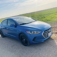 وارد امريكي • ٢٠١٧ • واسط كوت