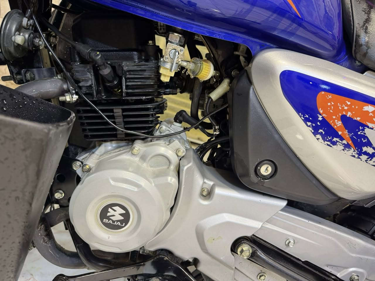 سلام عليكم
بوكسر جبلي 2023 من شركه المصطفى بأسمي دراجه مكفوله كفاله عامه نظافه 💯 
تجي تفحص على راحتك 
سعر مليونين و ٦٠٠ 
مكاني حي اور قرب حسينيه المصطفى
***********
