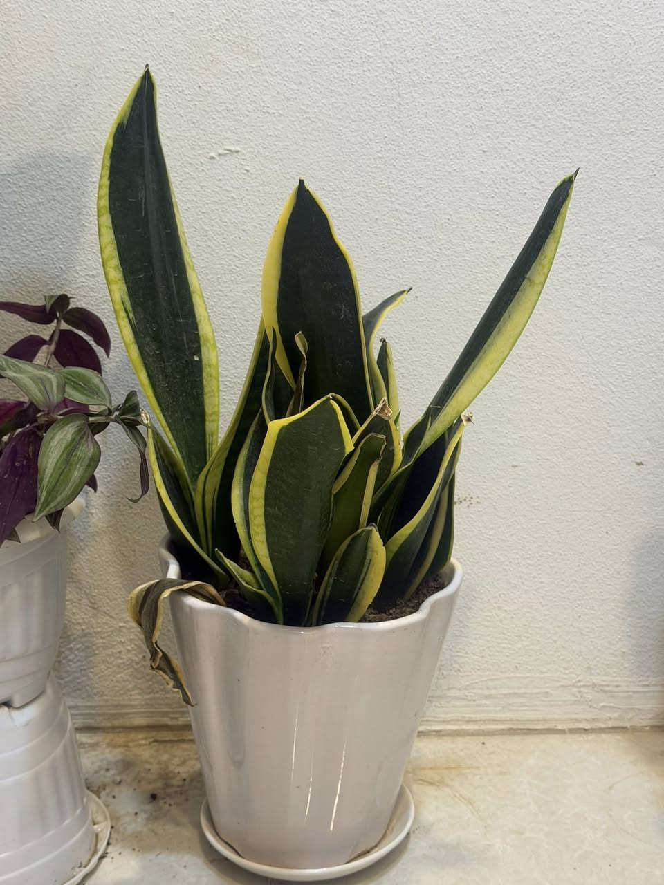 اغراض لبيع


**إذا كنت صاحب هذا الإعلان وتريد حذفه لأي سبب، رجاءا أرسل رسالة إلى الدعم الفني**