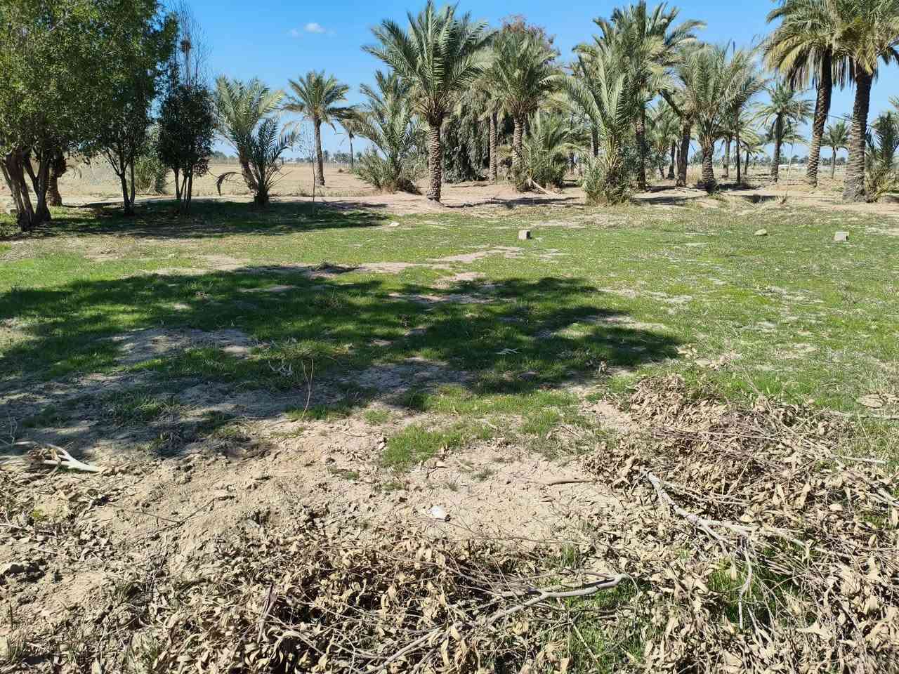 دوانم مع دار سكن في اليوسفيه القصر ا للبيع تقطيع حسب الطلب سند ٢٥ مستقل طابو المحمودية خدمات متكامله ***********
