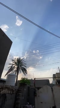 سكنس فحل • ٥٨.٥ • تفيلس