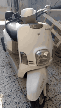 بلادي مكفول
***********
