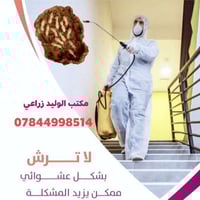 🛑 هل تُريد التخلص من الحشرات نهائيًا؟؟؟   ولماذا تختار مكتب الوليد الز...