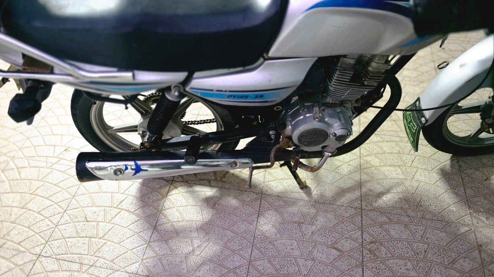 دراجه دايوان عضم أوراق اصولي اراوس عادي 