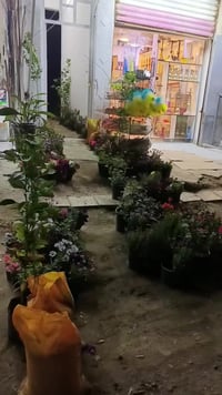 سبع البور • شارع السوداني • أسواق ابو جواد