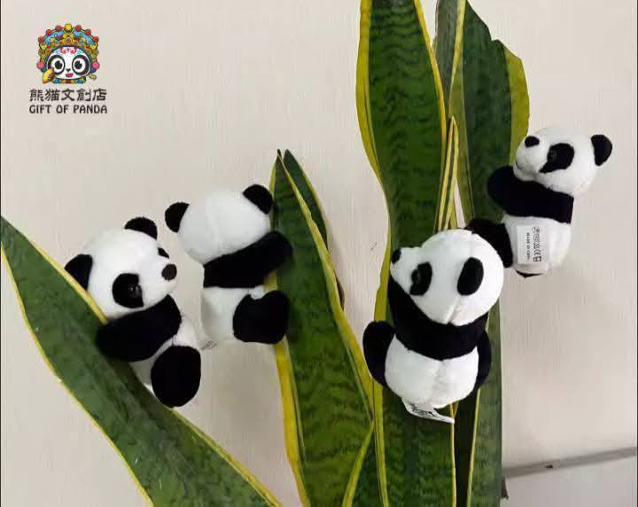 رمضان كريم🌙

باندا 🐼 عصا موسى 

للحجز / راسلونا ع بريد الصفحة📥 
‏‎واتساب / *********** ☎️ 
 واتساب /‏‎*********** 
 
‏‎متوفرة خدمة التوصيل🛩️
