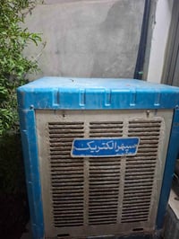 سليمانية • بلا عيب • للبيع