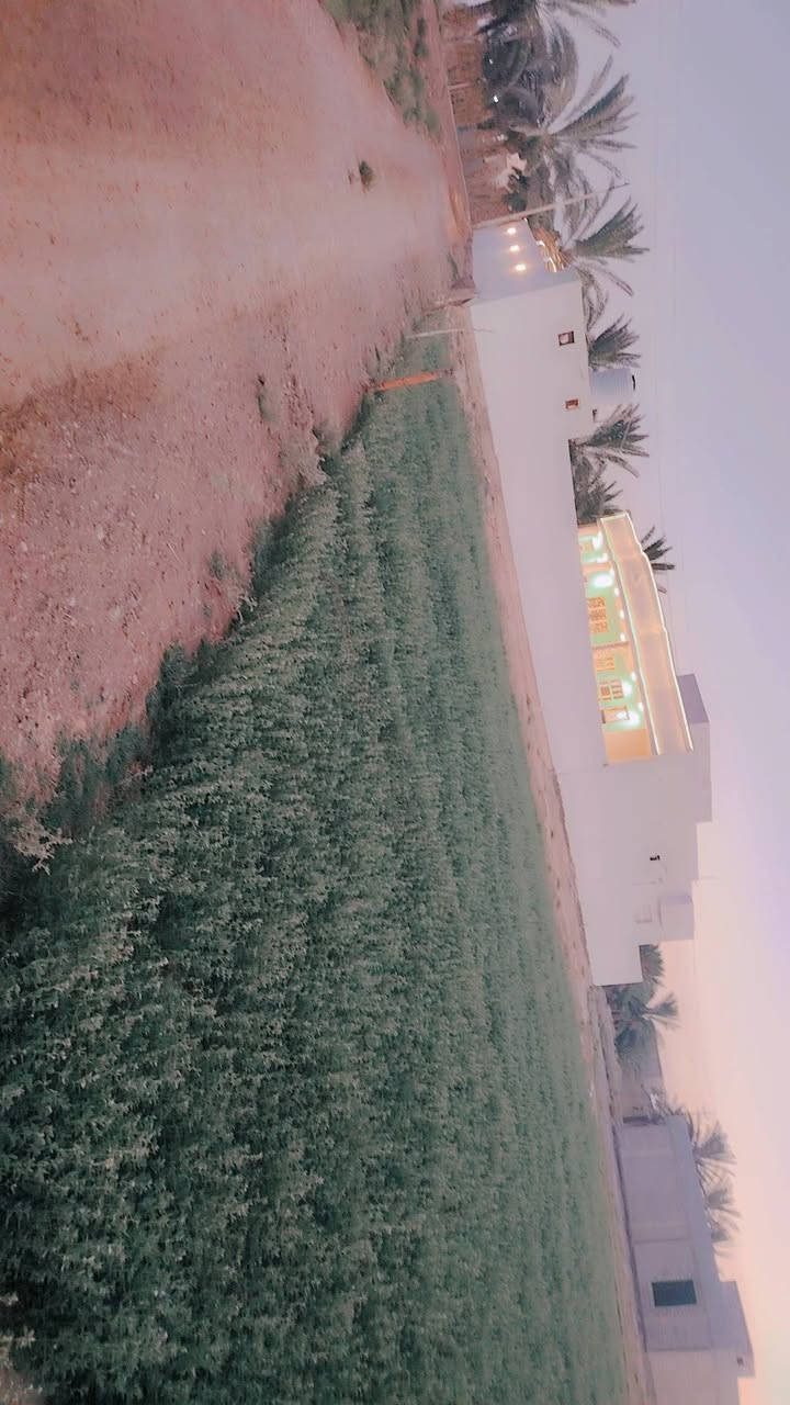 بيت للبيع مساحه دونم كامل ماء تبليط غرف ٢ صاله مطبخ حار بارد هول ديوان مدارس ٢ يمه موقع لبيت الرمادي البعساف سعر 75 بي مجال ***********
