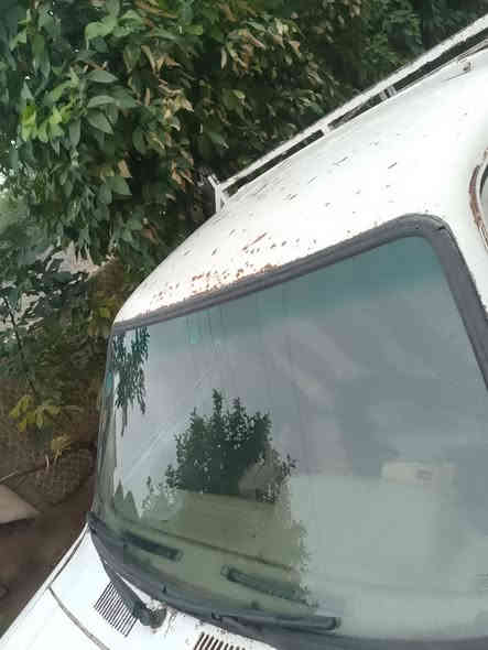 السلام عليكم ورحمة الله
للبيع تيوتة بيكم مديل 80

            السياره معمرة جديد مابيها نقص اي حاجة 

تخم تايرجديد  تخم دسكات جدد تخم اضوية جدد 

                  اشاير جدد جوم جدد كابريتة جديدة 

مكينة جديدة لا تنقيص ولا تبخير كير جديد اربع نمر بلادي 

السياره بلادية مابيها صبغ 

سيارة اقتصادية ماتصرف بانزين 10لترات اتمشيك نصف

الكرة الارضيه 

كهربائيات شغالة كلها بدون اي نقص 

       

              رقم كركوك الماني سنوية صاقطة 

                اسويلك وكالة بيها  

السياره معمرة جديد ومتكامله مابيها نقص اي حاجة 

سعر السياره 28وبيها مجال قليل جدا للشراي 

مكانها صلاح الدين سامراء ناحية الحويش 

     

               (((  ***********)))
