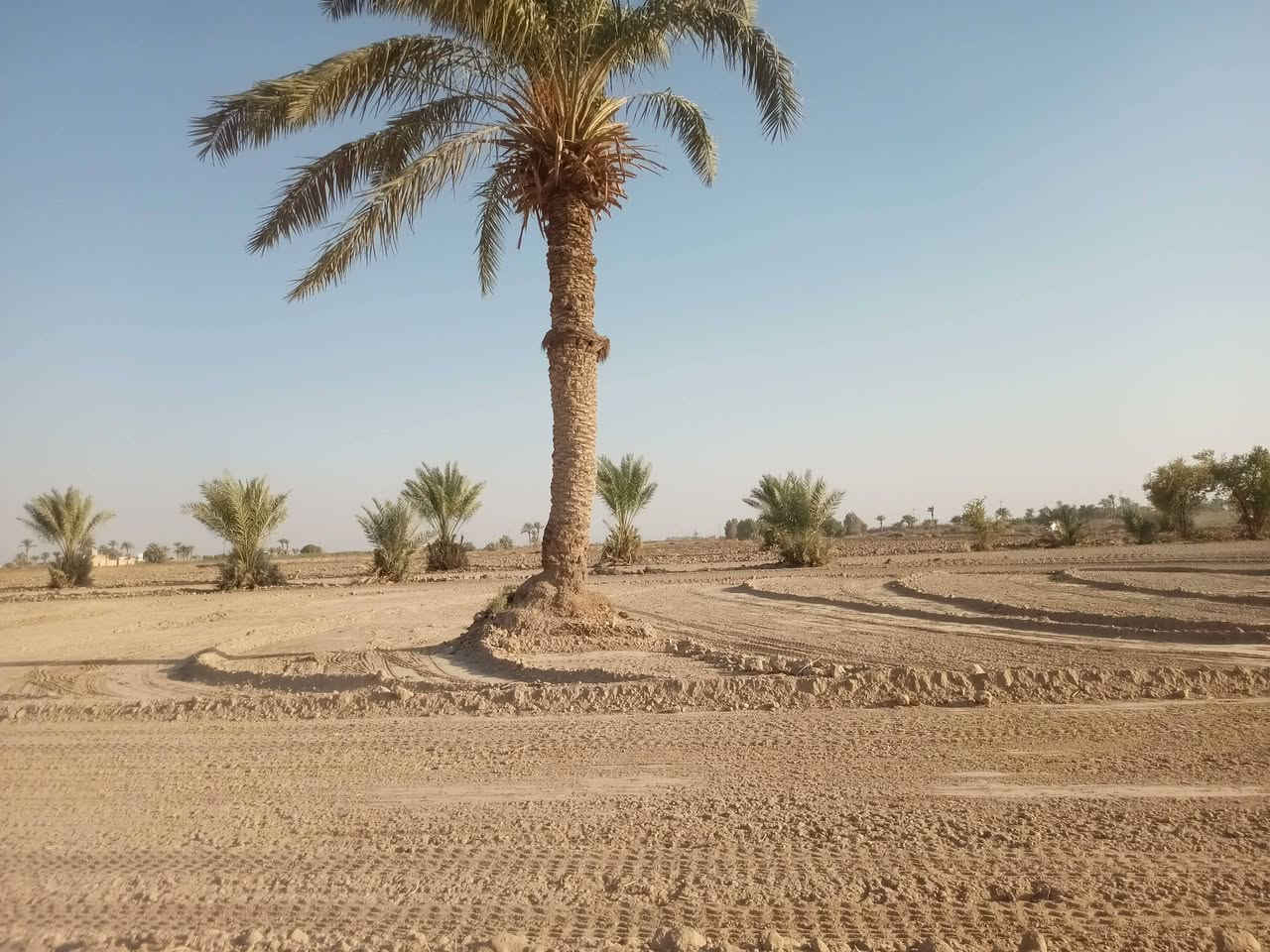 كاع بقريت الناطو للبيع كافت الخدمات ماء اساله كهرباء ثري فيز شارع تبليط مدارس ماء سكي عقد٢٤ ايجار بسمي مداور العقد ***********
