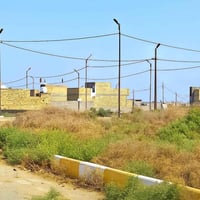 نور الامير • ٣٠٠م • زراعي سند ٢٥