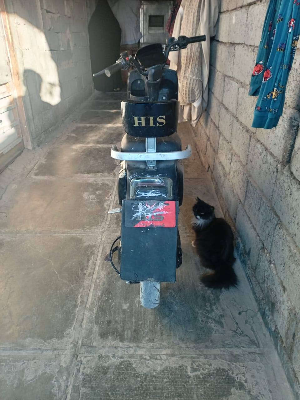 السلام عليكم  دراجه شحن البيع دراجه نظيفه عوزه مس بطاريات مكان بغداد الحريه السعر 150 بيه مجال رقم ***********
