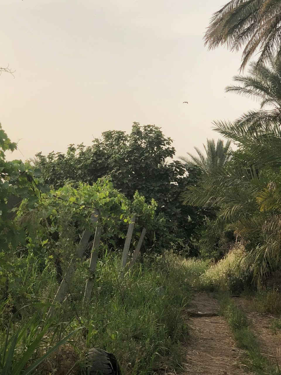 سلام عليكم
بستان البيع 
مساحه 4دوانم
العنوان صلاح الدين قضاء بلد يم الكاكات مال مشروع بستان 
واتساب*********** 
اتصل*********** 
حسب زبون انبيع حياكمً الله 
تفيد منتجعات سياحيه
