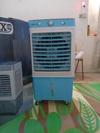 كنفره • استعمال قليل • سبع البور