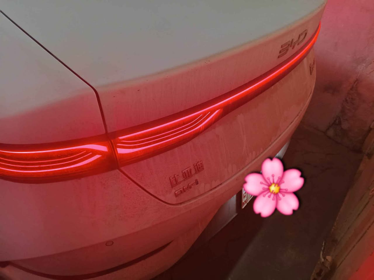 بي واي دي  BYD Qin plus 2025.
مواصفات.ویل عادى .ناو زەيتونى

کارەبایی و بەنزین و هایبريد.

بصمة شاشةوكاميرا ویل کەپ.

تحديد سورعه.ناو زه‌يتونى,پشت و پێش لید ڤۆلیۆم

 کارت و وایەر شحنی لەگەڵە.

 ته‌نها 2 هه‌زار رۆیشتوه‌.

هیجی نیه‌ زۆر خاوینه‌

 سعر:  122$🔥

مۆبایل *********** واتسأب كركوك, العراق
