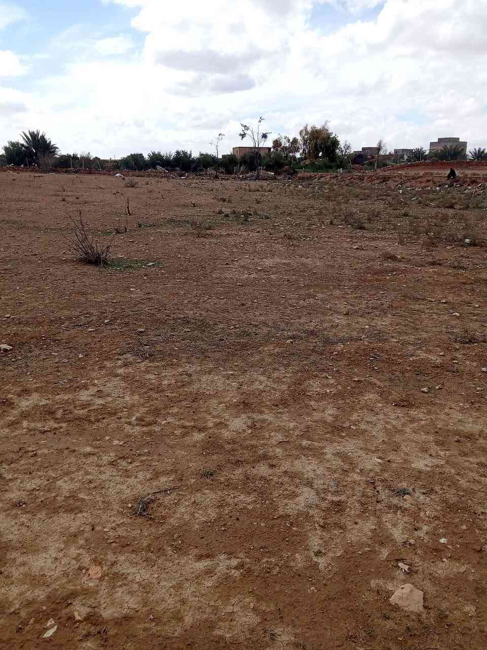 سلام عليكم ورحمه الله وبركاته توجد قاع للبيع 2000 متر الموقع وادي علي مجاوره المزرعه مال جواد ***********
