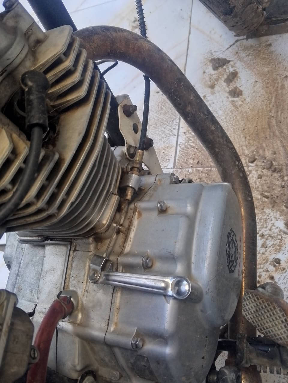 سلام عليكم  مكينه البيع.


**إذا كنت صاحب هذا الإعلان وتريد حذفه لأي سبب، رجاءا أرسل رسالة إلى الدعم الفني**